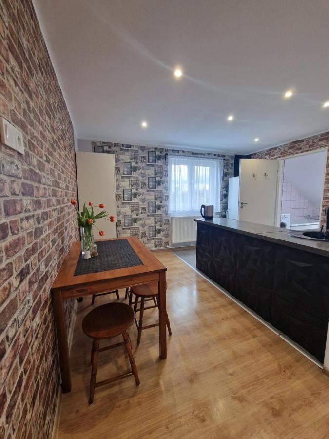 Przestronny Apartament +Silownia Bytom Dış mekan fotoğraf